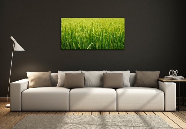 Glass wall art Rice field