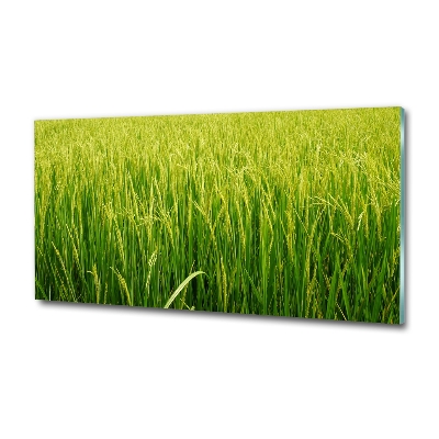 Glass wall art Rice field