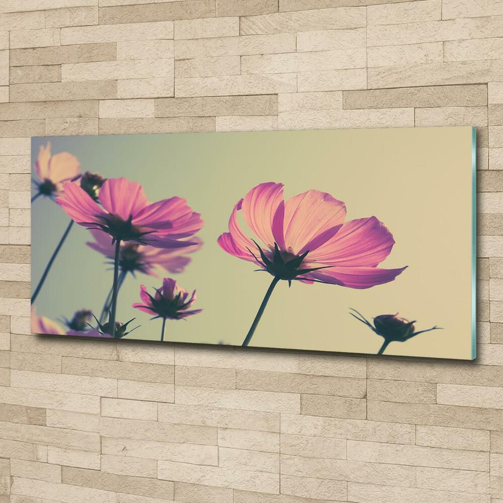 Wall art on glass Pink flowers