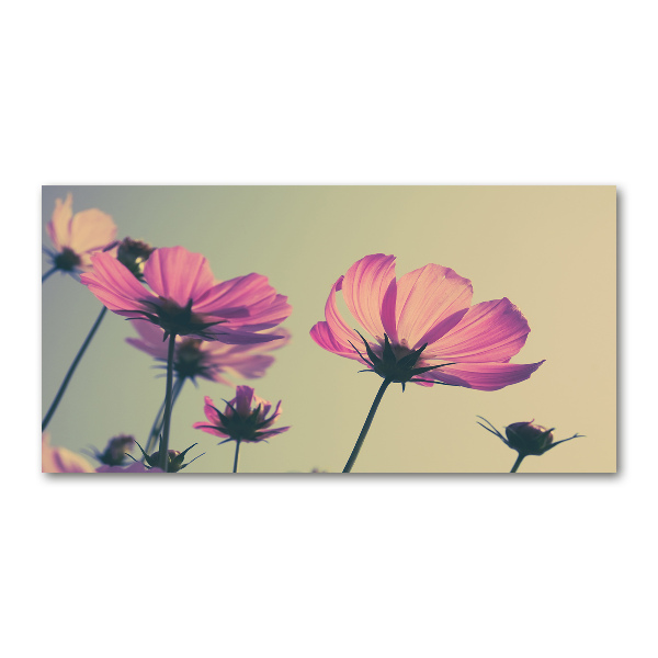 Wall art on glass Pink flowers