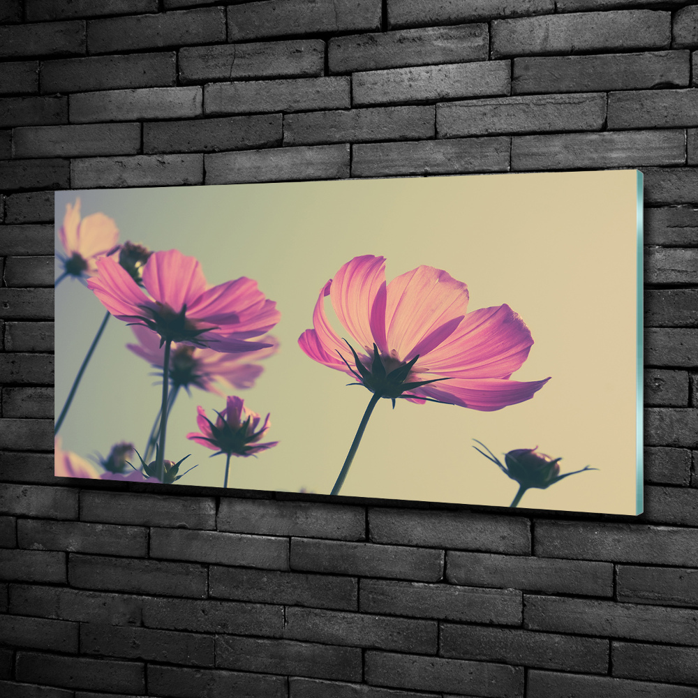 Wall art on glass Pink flowers