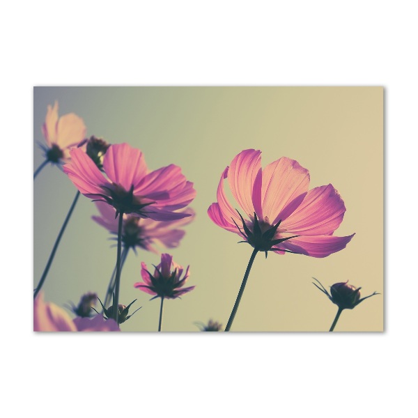 Wall art on glass Pink flowers