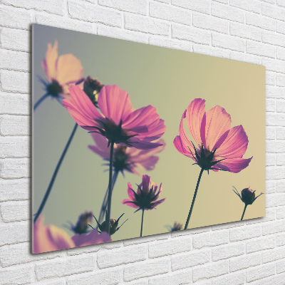 Wall art on glass Pink flowers