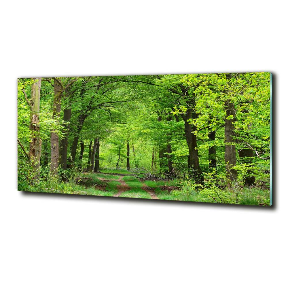 Glass art picture Spring forest