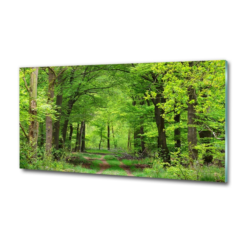 Glass art picture Spring forest