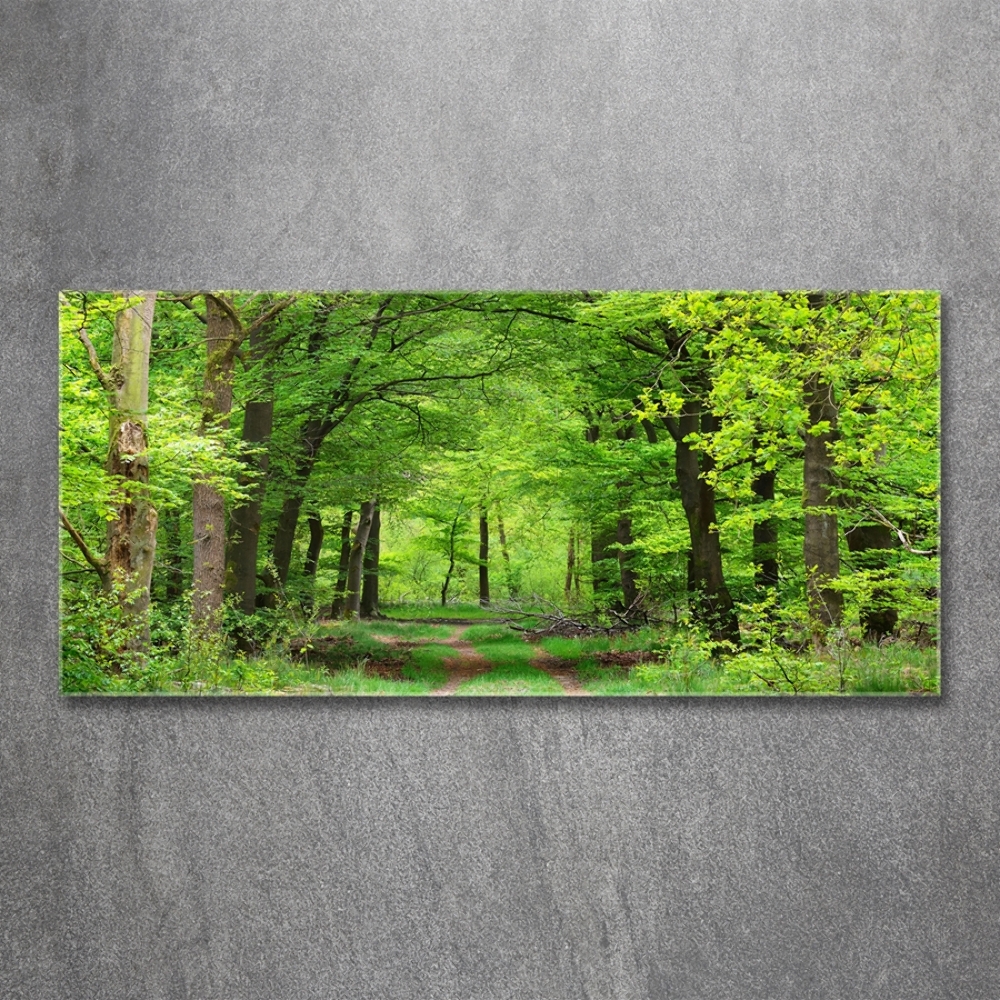 Glass art picture Spring forest