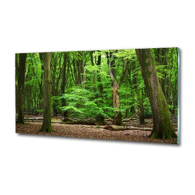 Photo printed on glass Dutch forest