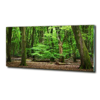 Photo printed on glass Dutch forest