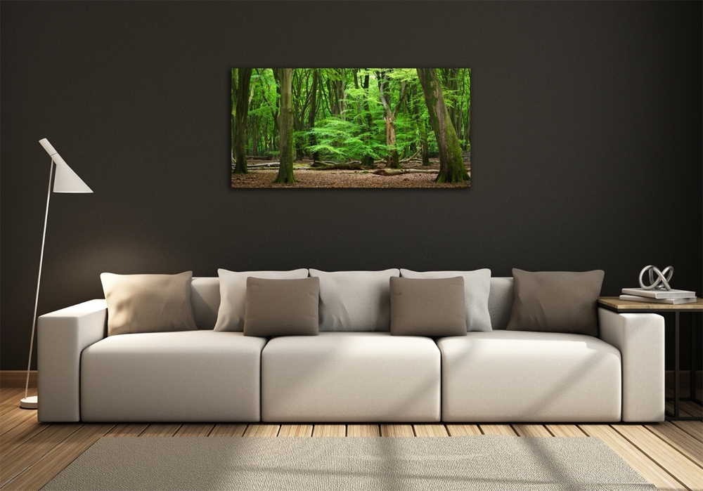 Photo printed on glass Dutch forest