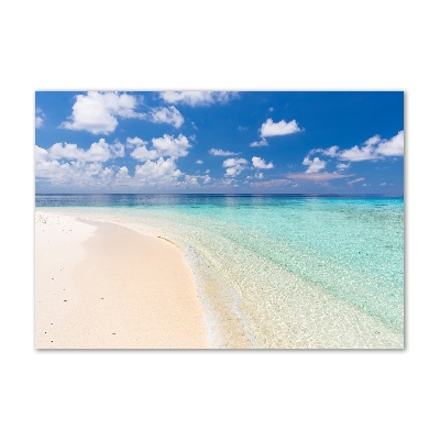 Photo printed on glass Beach in the maldives