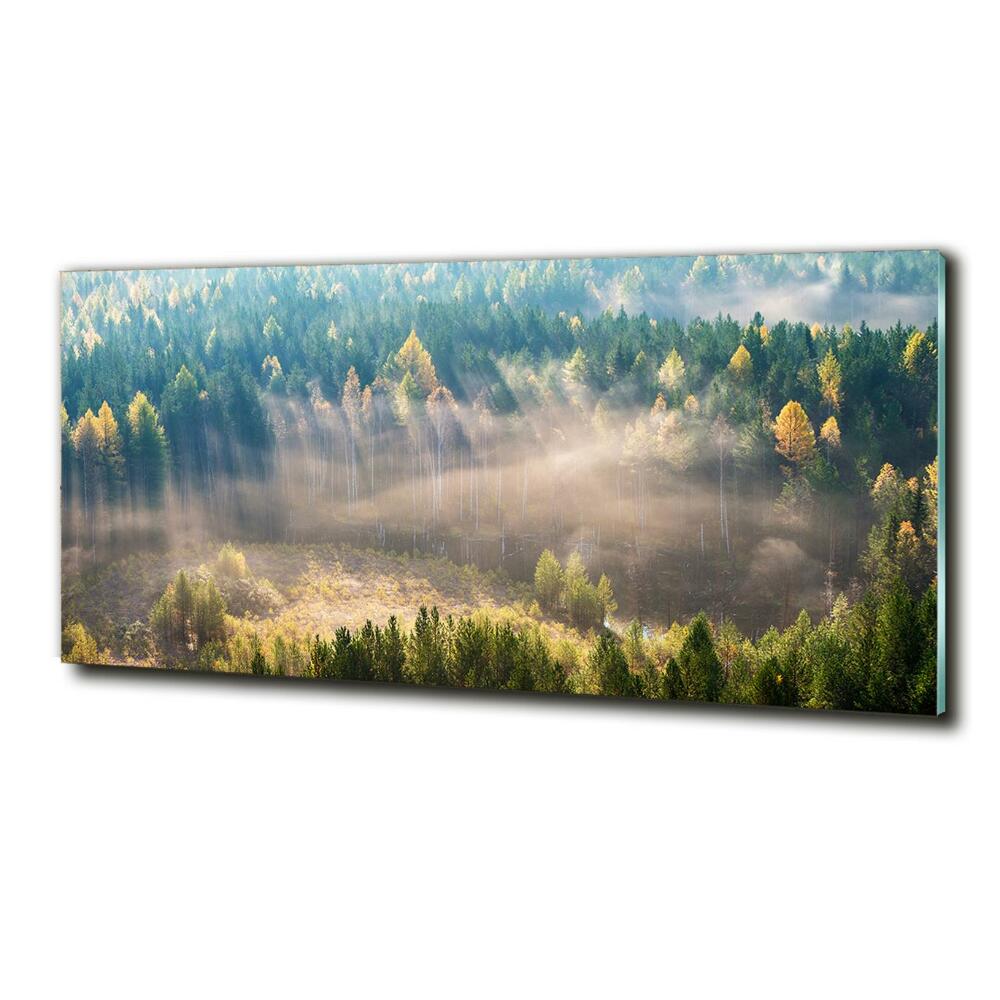 Glass art picture Fog in the forest