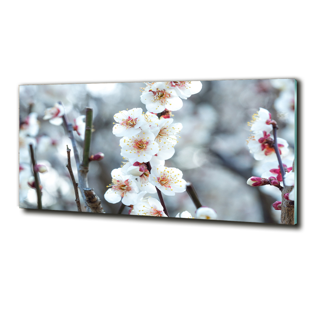 Glass wall art Cherry blossoms