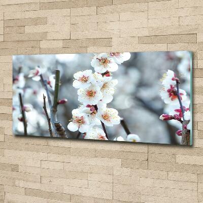 Glass wall art Cherry blossoms