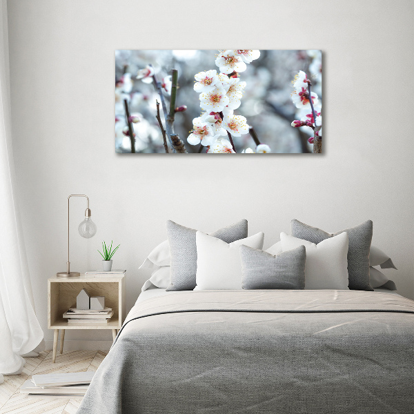 Glass wall art Cherry blossoms