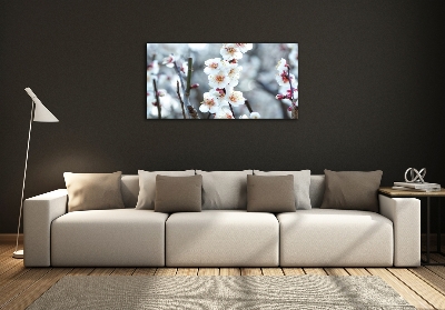 Glass wall art Cherry blossoms