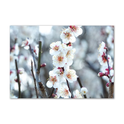 Glass wall art Cherry blossoms