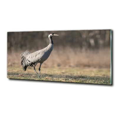 Wall art on glass Heron