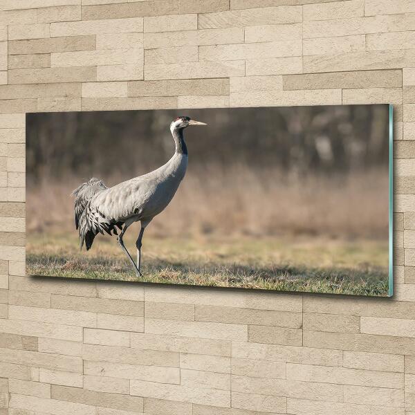 Wall art on glass Heron