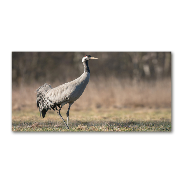 Wall art on glass Heron