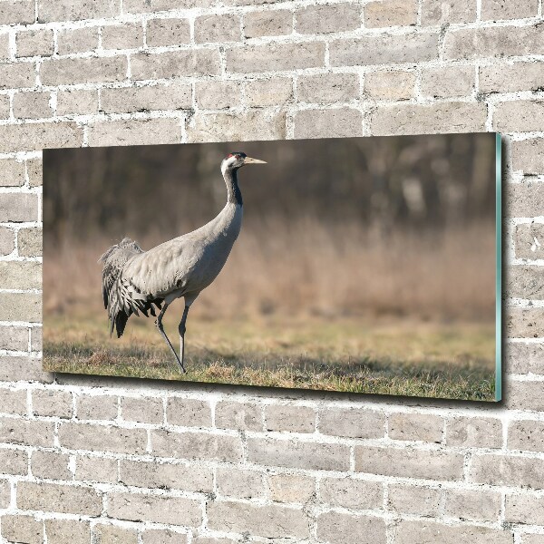 Wall art on glass Heron