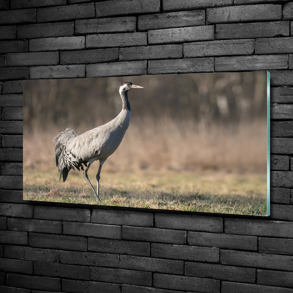 Wall art on glass Heron