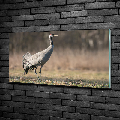 Wall art on glass Heron