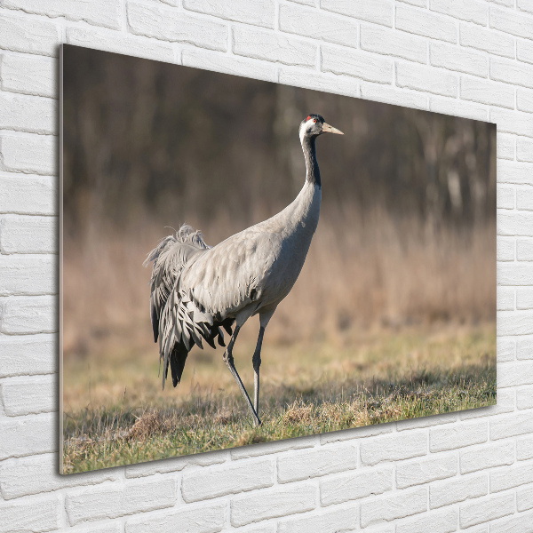 Wall art on glass Heron