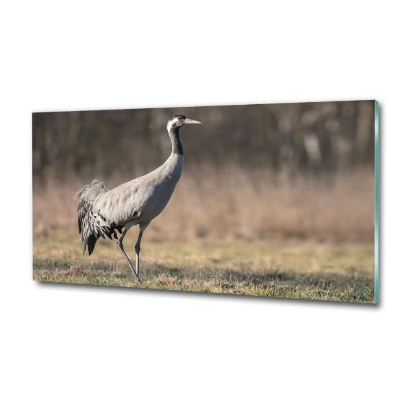 Wall art on glass Heron