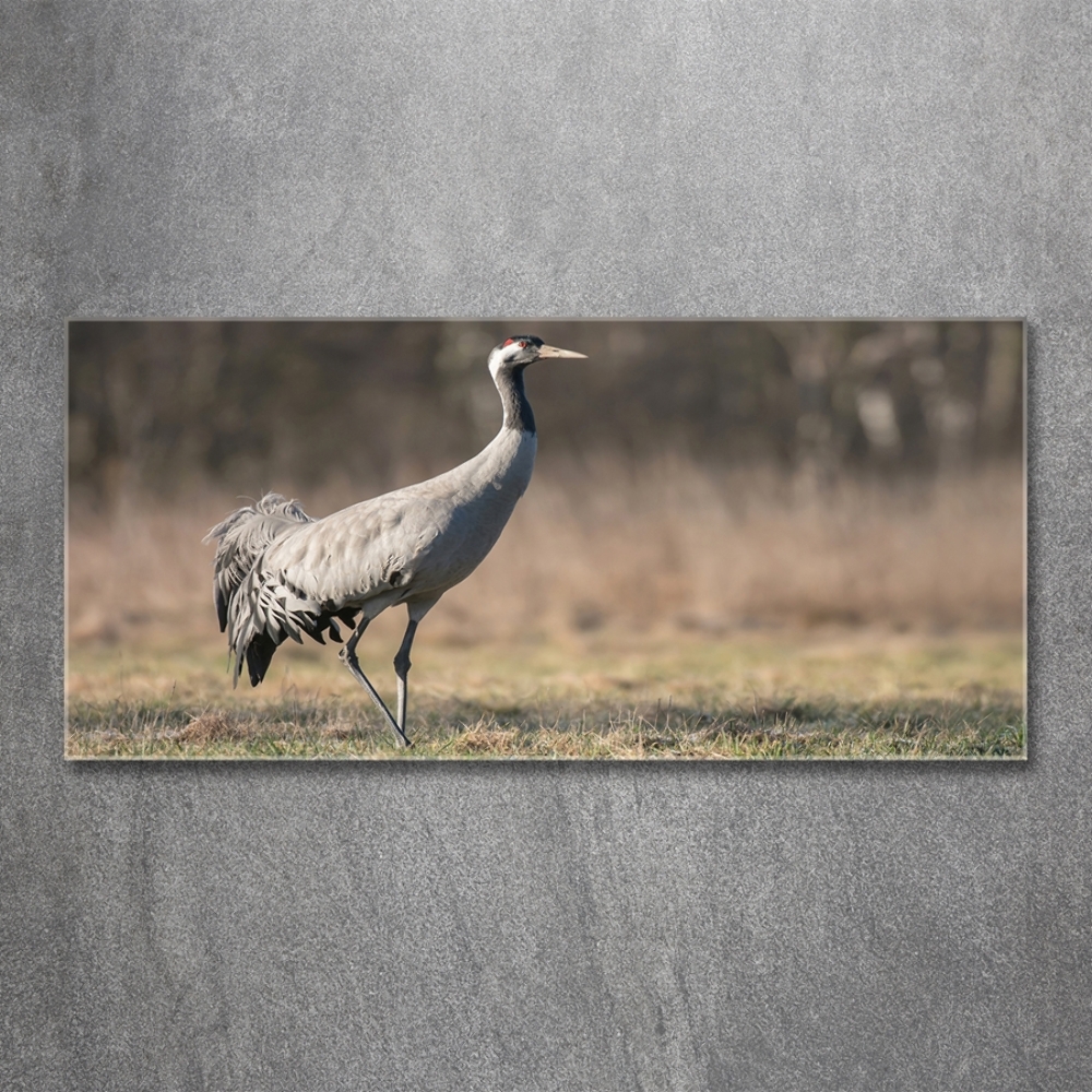 Wall art on glass Heron