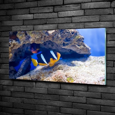 Glass art print Tropical fish