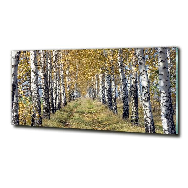 Photo printed on glass Birches in autumn