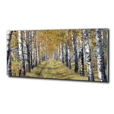 Photo printed on glass Birches in autumn