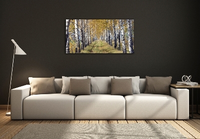 Photo printed on glass Birches in autumn