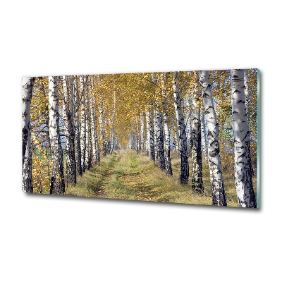 Photo printed on glass Birches in autumn