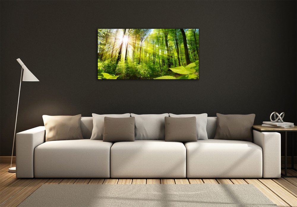 Photo printed on glass Forest in the sun