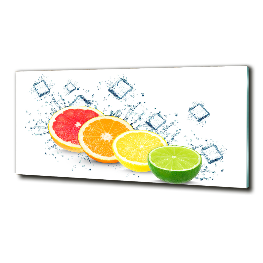 Glass wall art large Citrus fruits