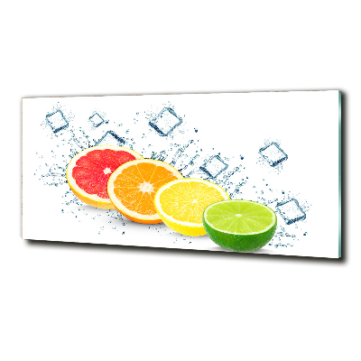 Glass wall art large Citrus fruits