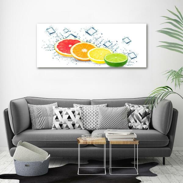 Glass wall art large Citrus fruits