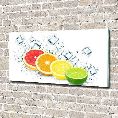 Glass wall art large Citrus fruits