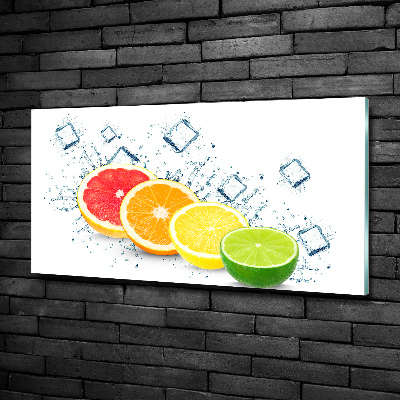 Glass wall art large Citrus fruits