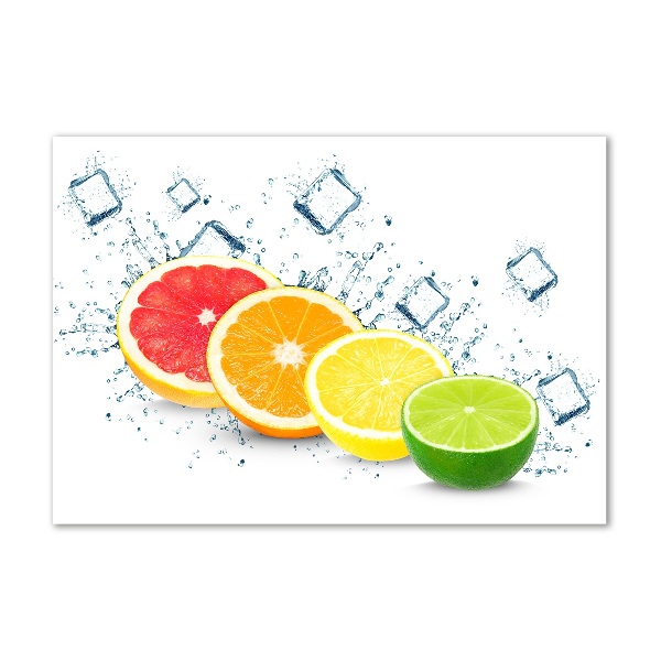 Glass wall art large Citrus fruits