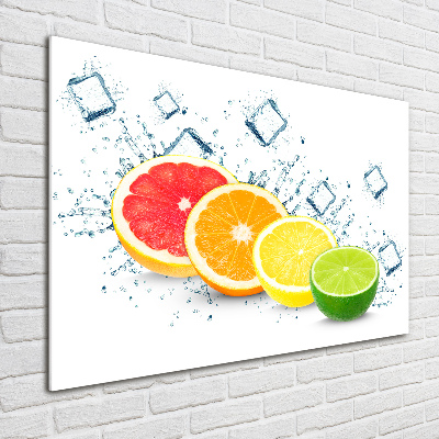 Glass wall art large Citrus fruits