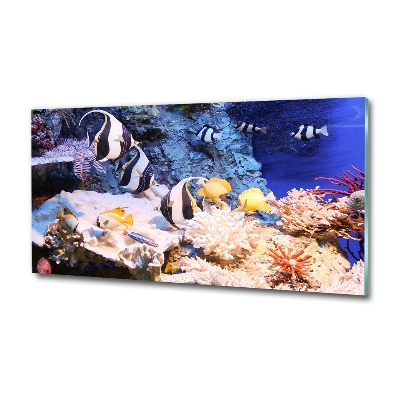 Wall art on glass Coral reef