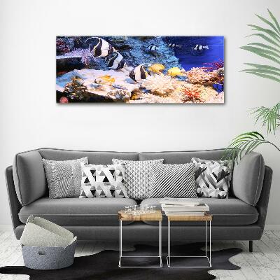 Wall art on glass Coral reef