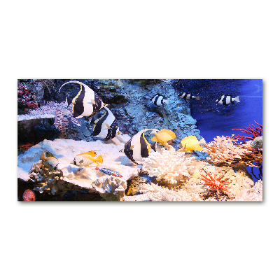 Wall art on glass Coral reef