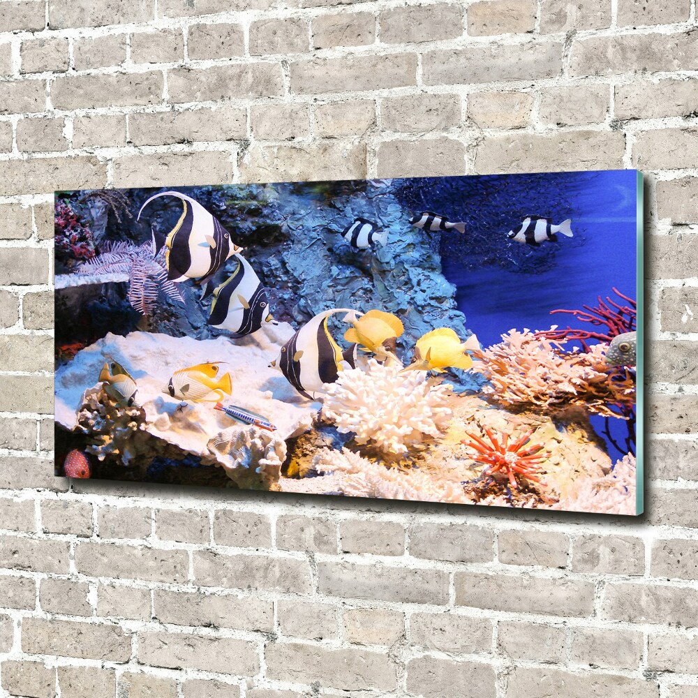 Wall art on glass Coral reef