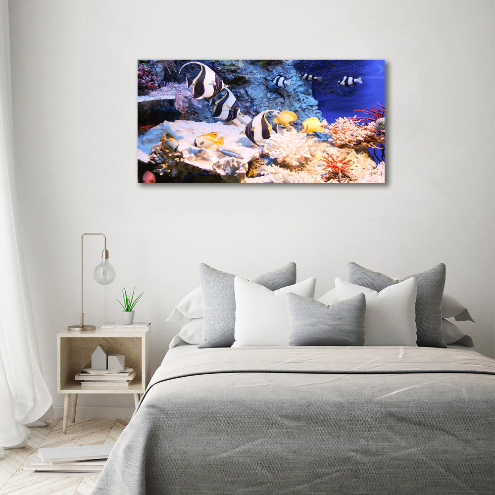 Wall art on glass Coral reef