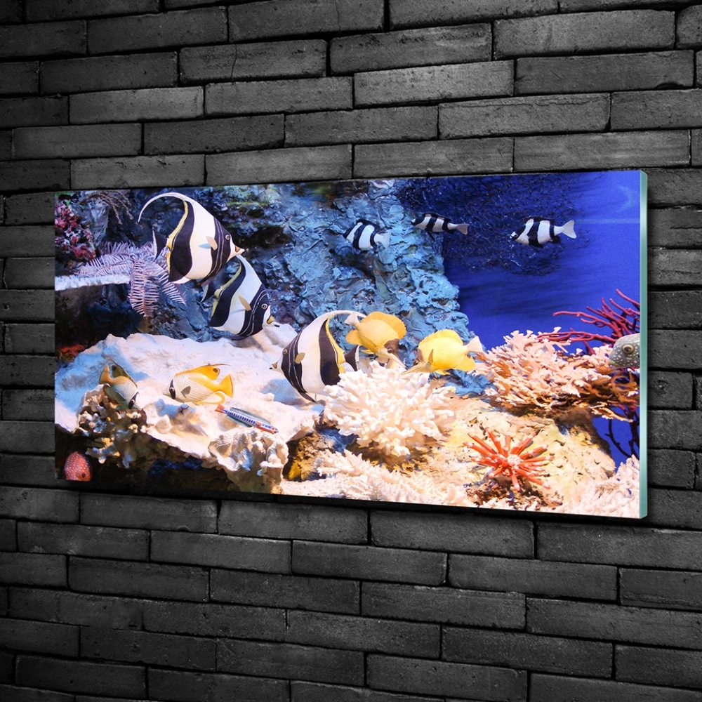 Wall art on glass Coral reef