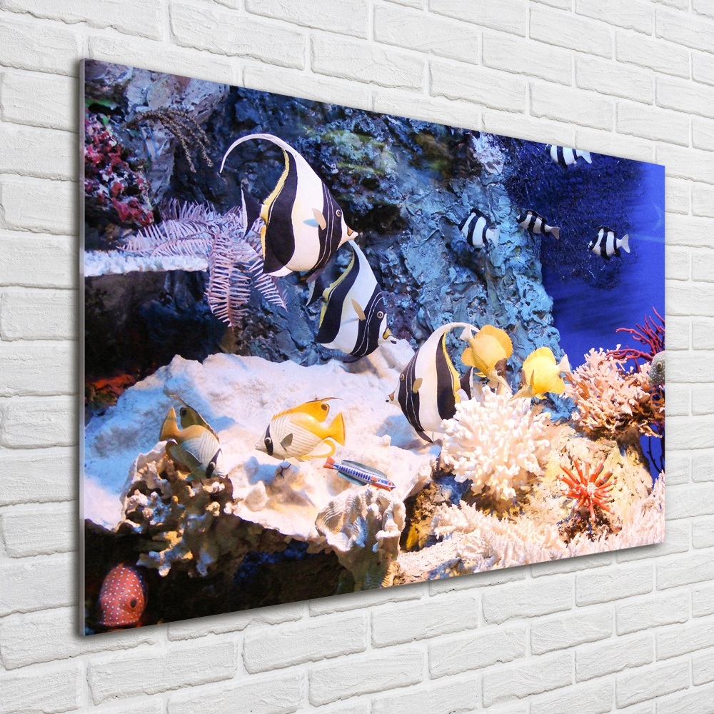 Wall art on glass Coral reef