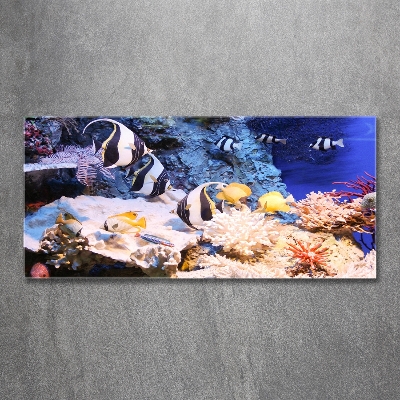 Wall art on glass Coral reef